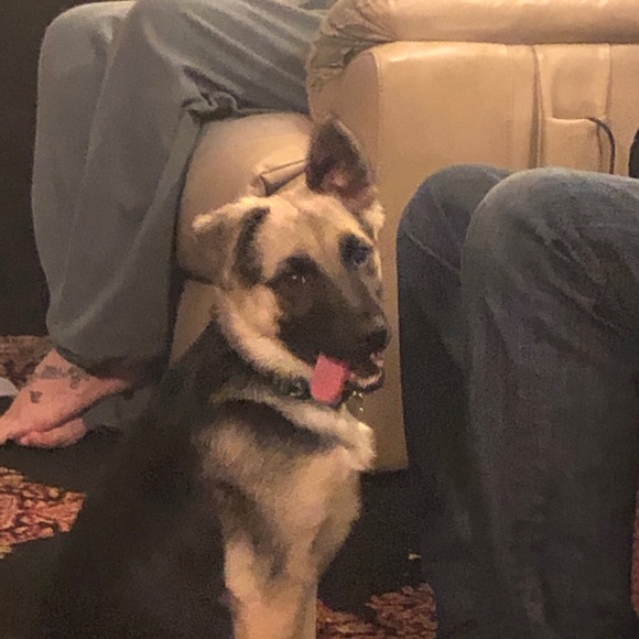 Meet your Posher, Lisa - Picture 10 of 11